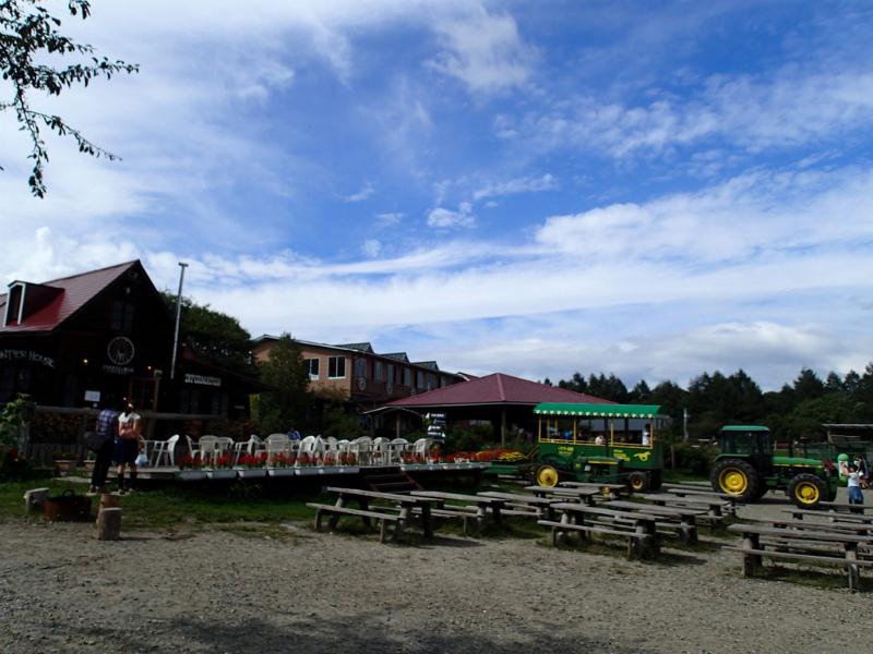 P9140024.jpg