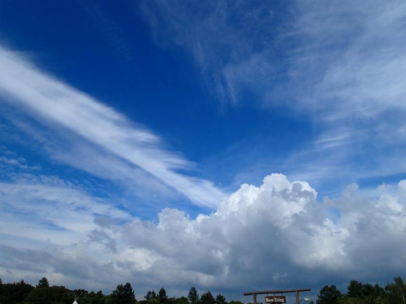 P9140025.jpg