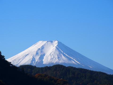 PB100005.jpg