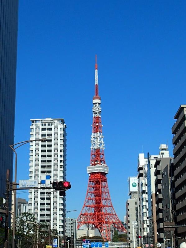 PB150009.jpg