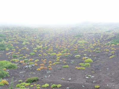 s-P1000665.jpg