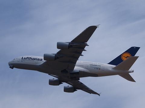 s-P3067975.jpg