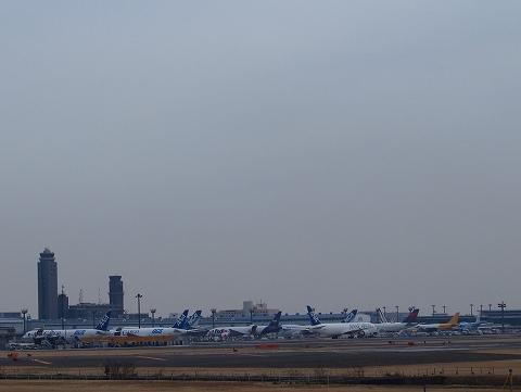 s-P3068067.jpg