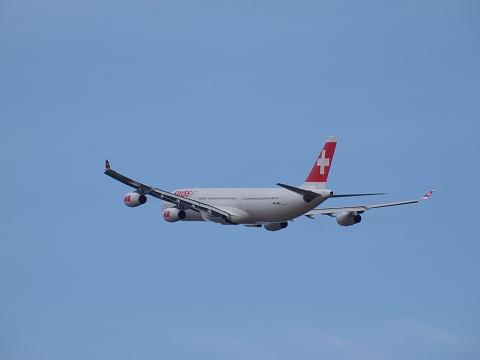 s-P3068086.jpg