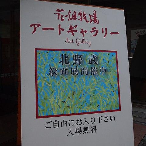 s-P7044783.jpg