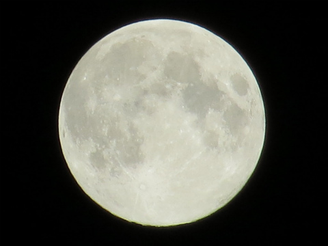 sIMG_1415.jpg
