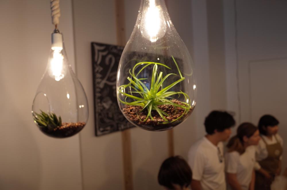 C3cafe05.JPG