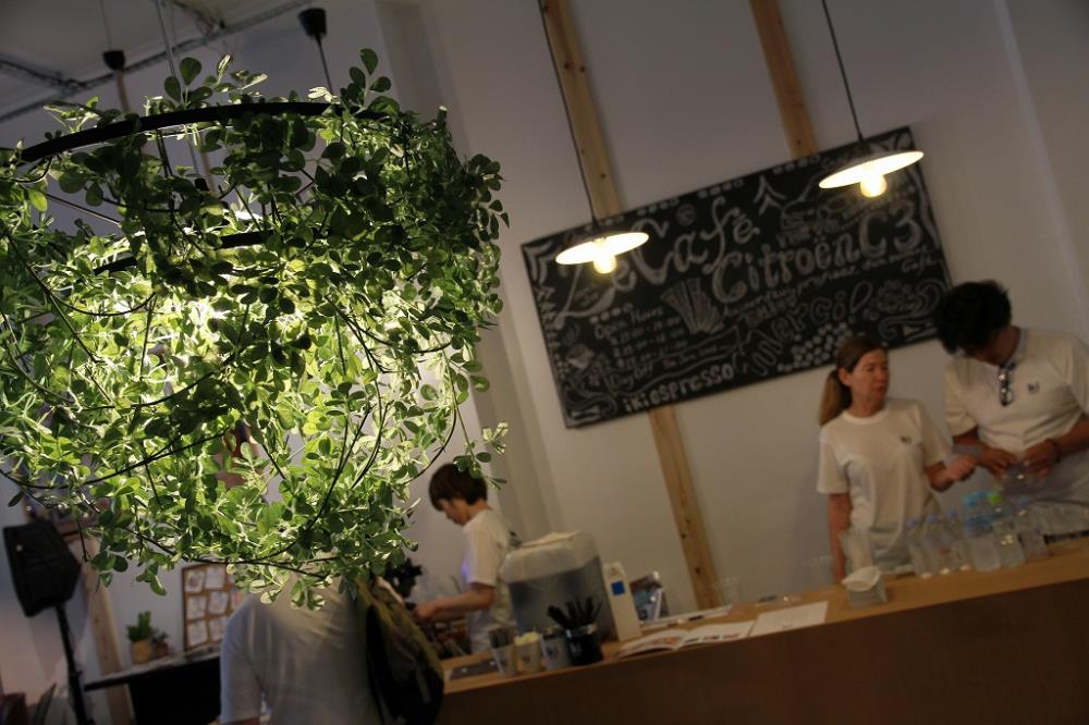 C3cafe06.jpg