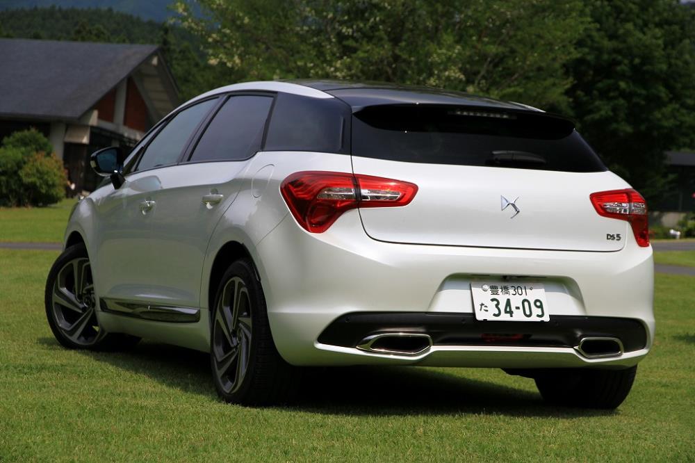 DS5-11.jpg