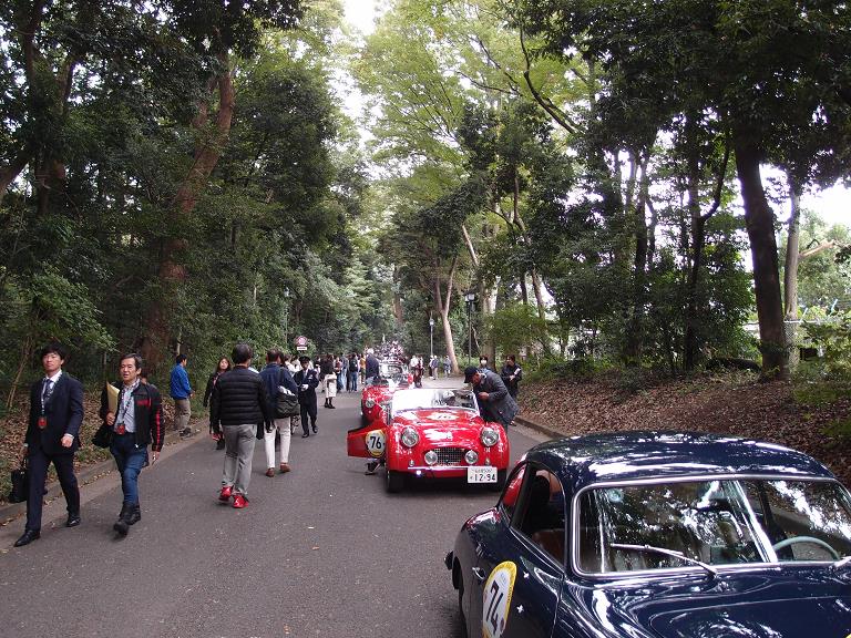 100miglia2016-23.JPG