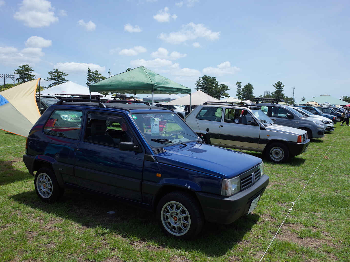 Pandarino2026-08.jpg