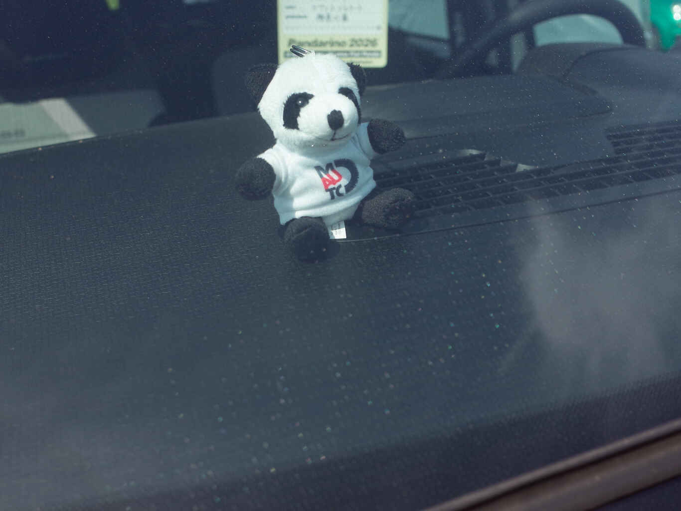 Pandarino2026-40.jpg