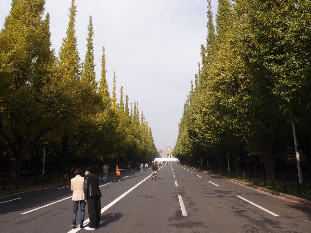 TSD02.JPG