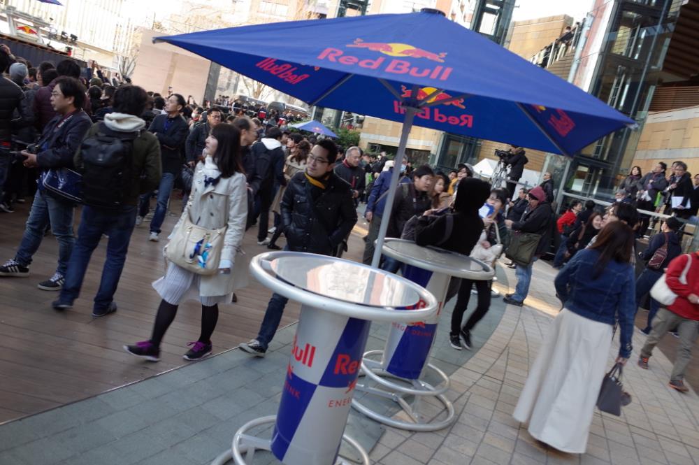 ToroRosso10.JPG