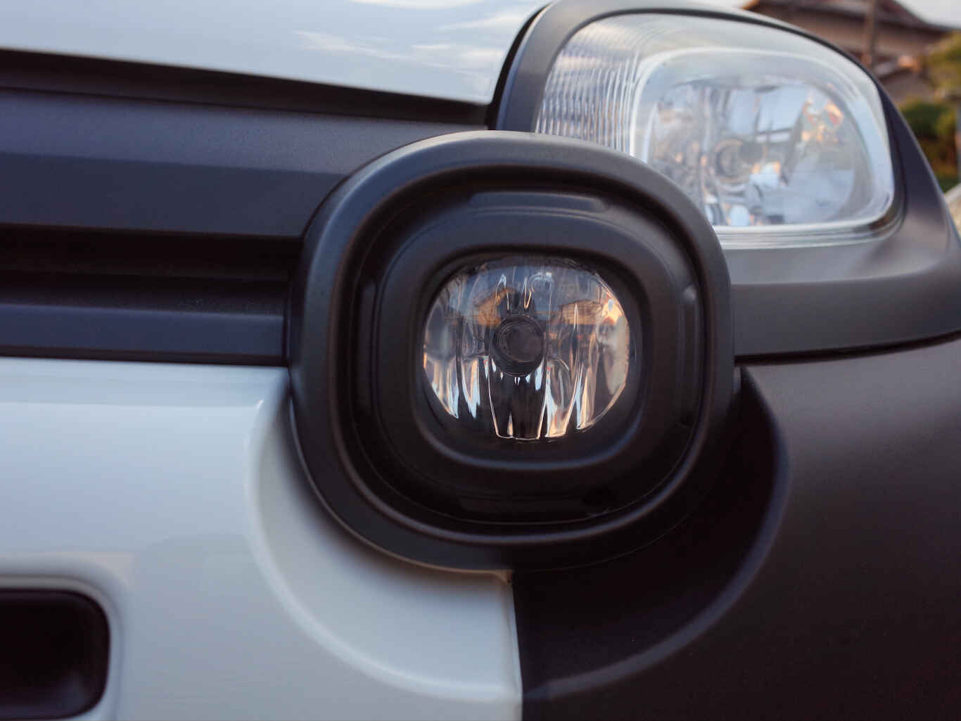 Panda2509-03.jpg