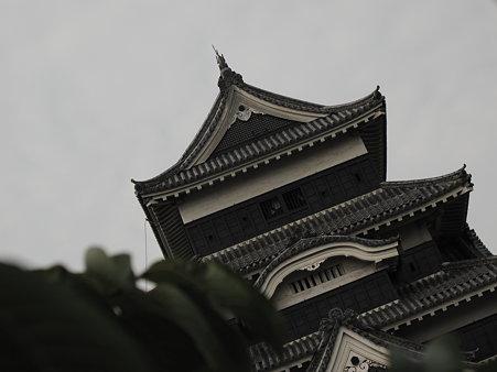 26711775.jpg