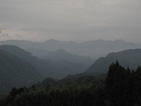 26714354.jpg