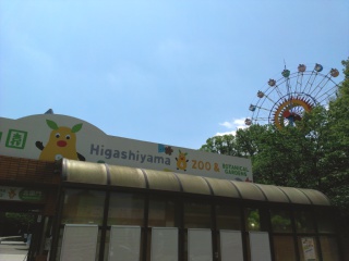 IMAG1091.jpg