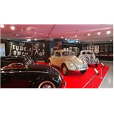 beetle8.jpg