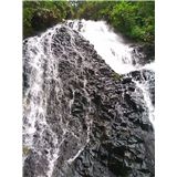 SN3N0325.jpg