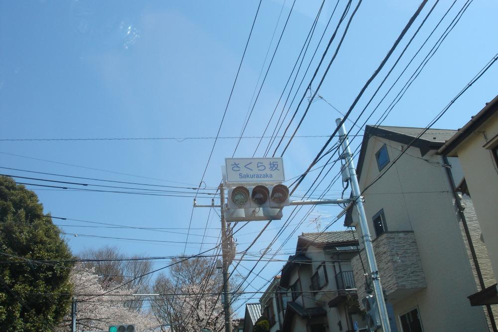 DSC08818.jpg