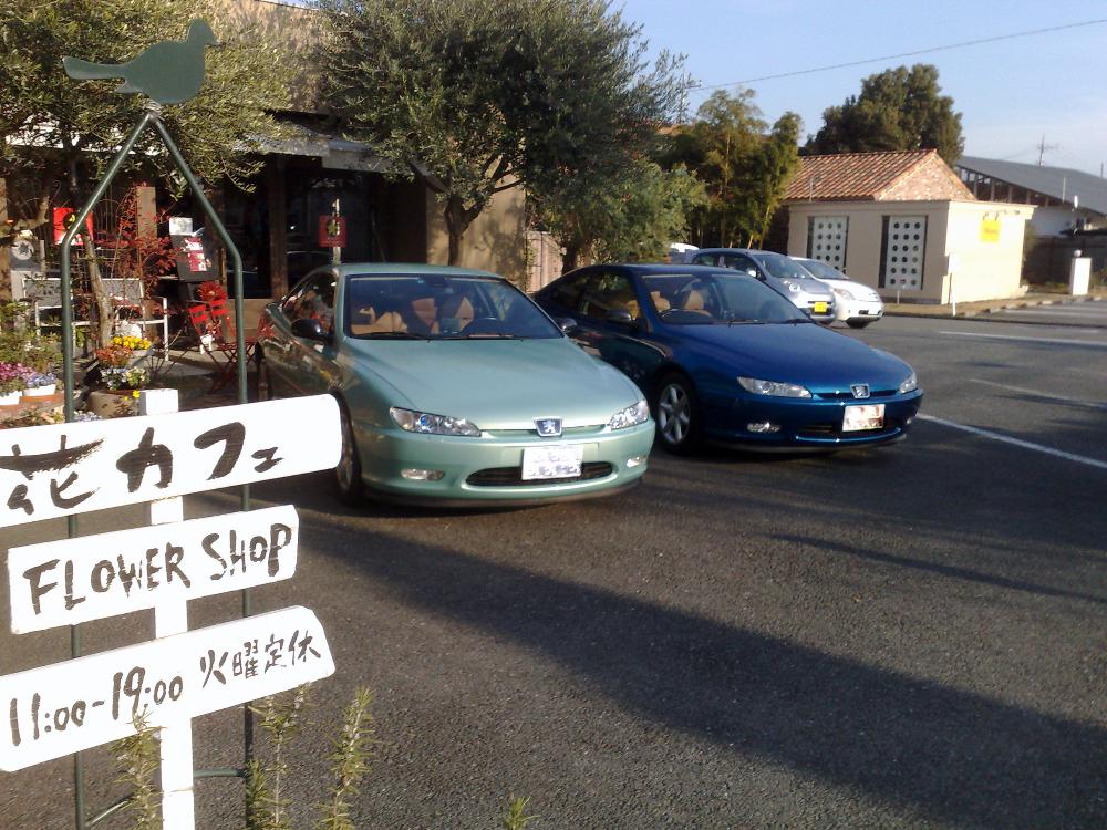 201112211180.jpg