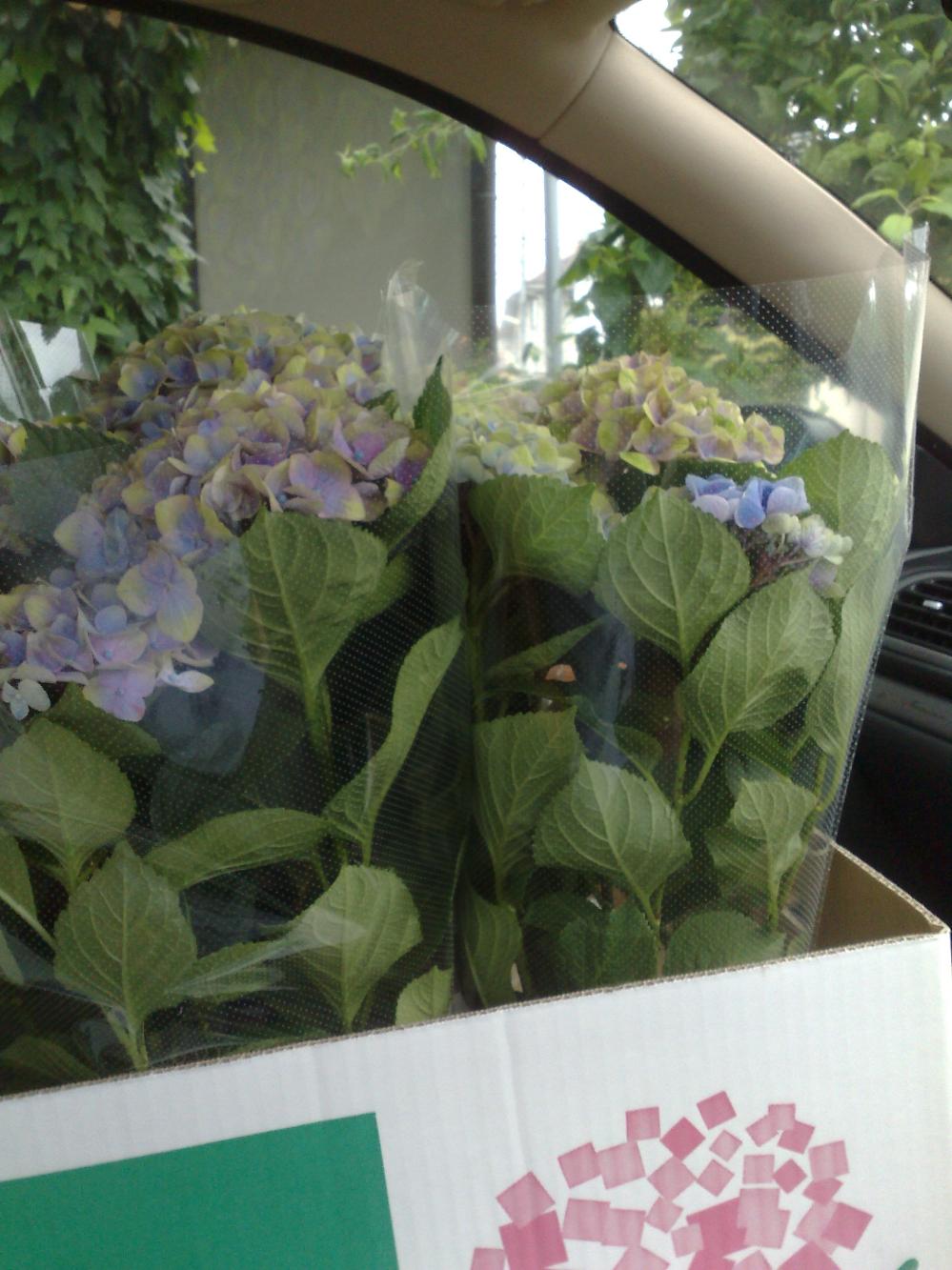 201206251431.jpg