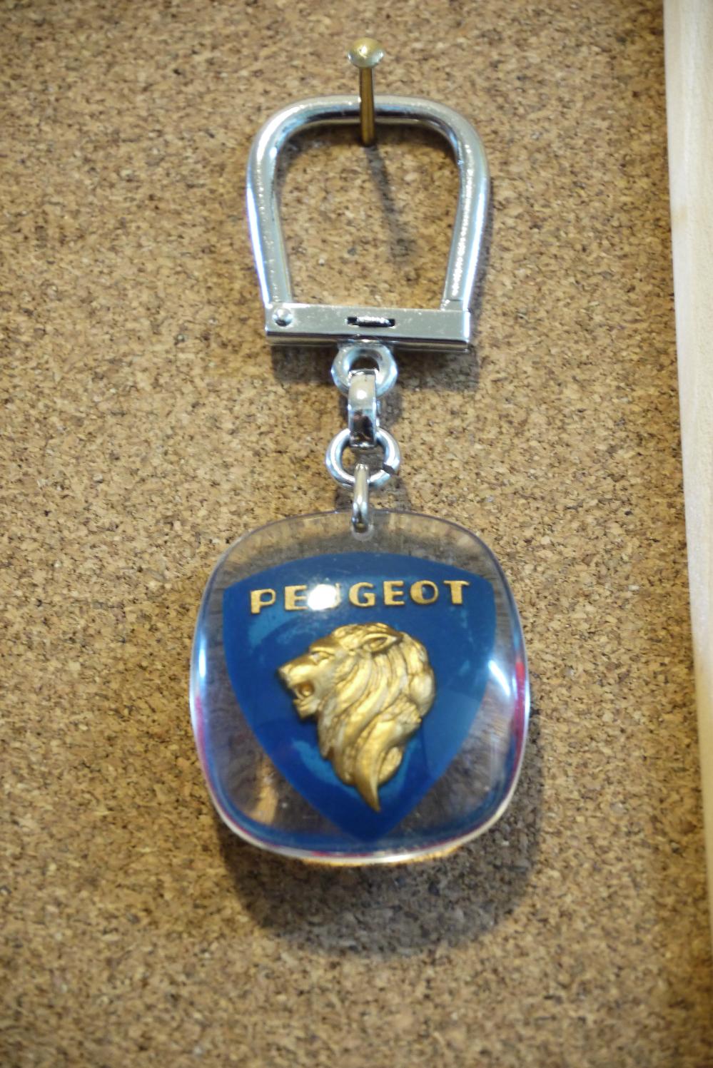 P1000265.jpg