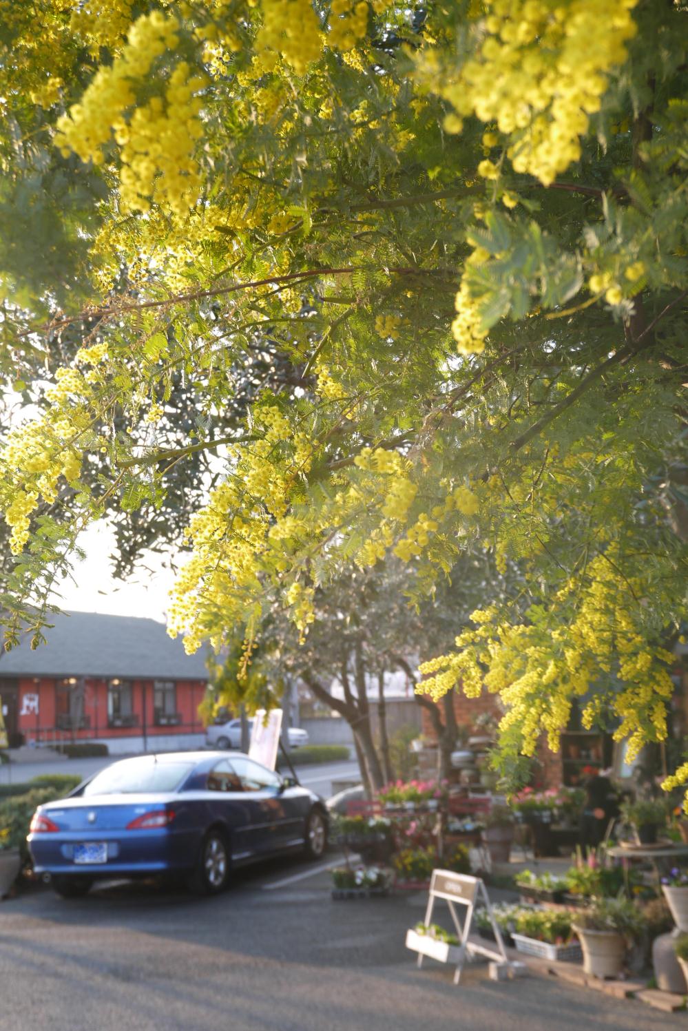 P1150107.jpg