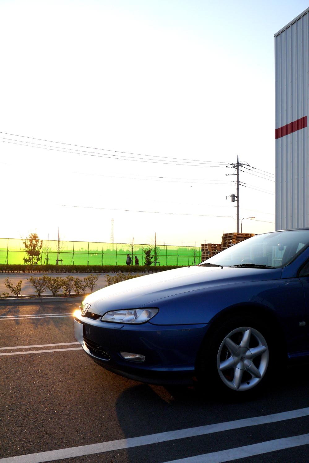 P1150262.jpg