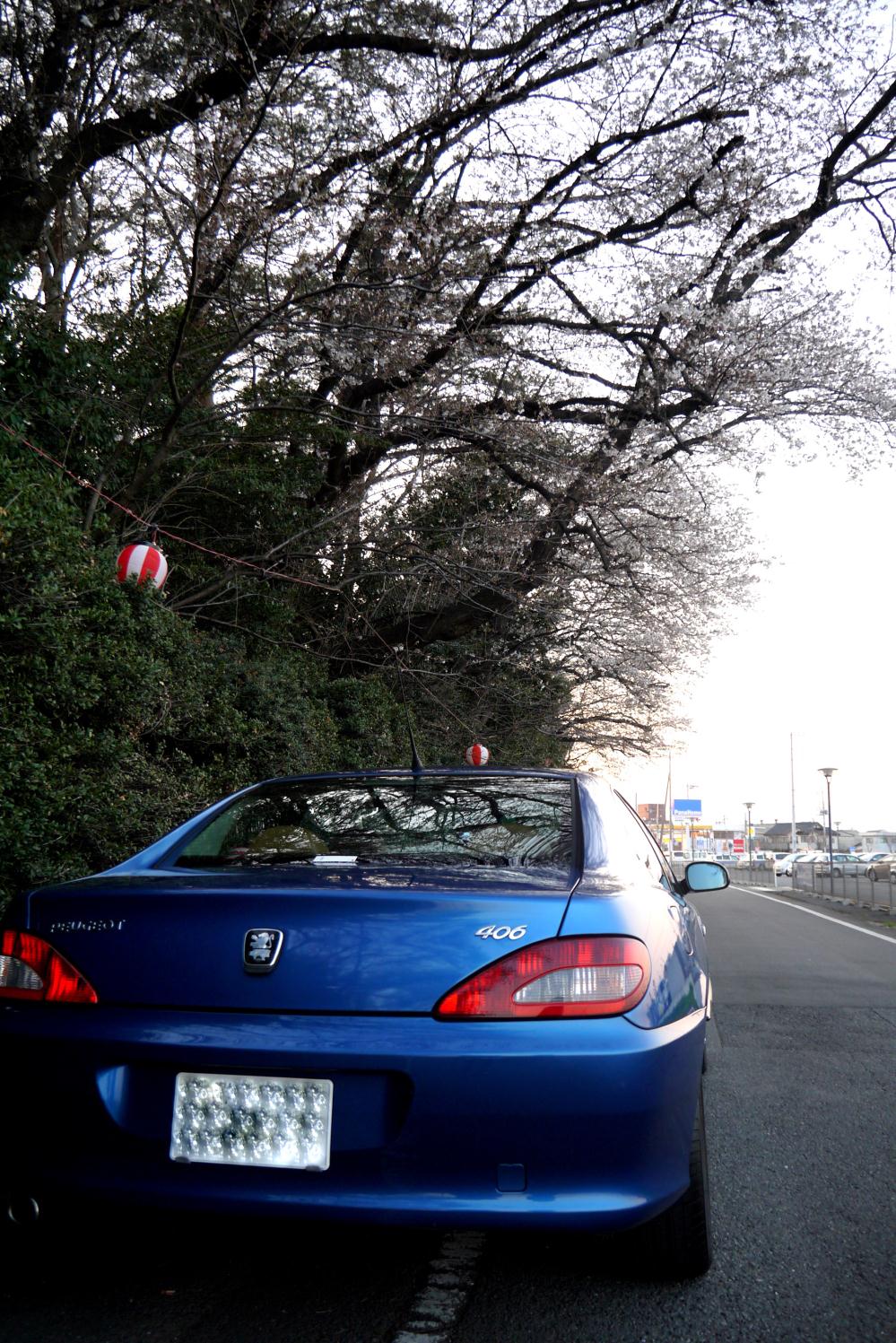 P1150287.jpg