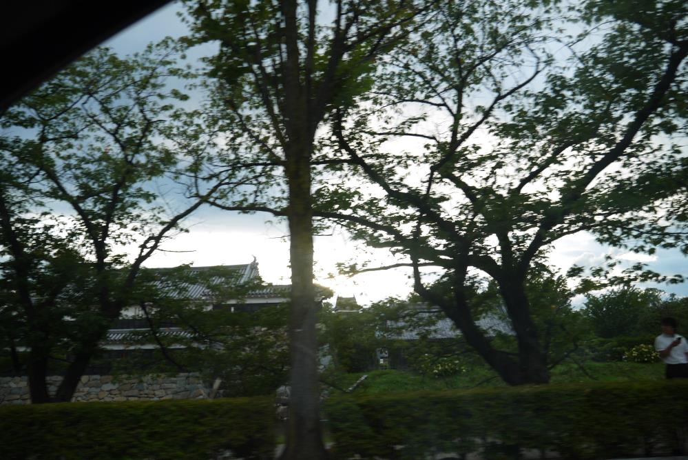 P1180622.jpg