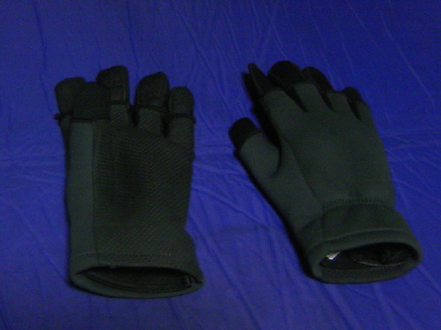 TS3C0795.jpg