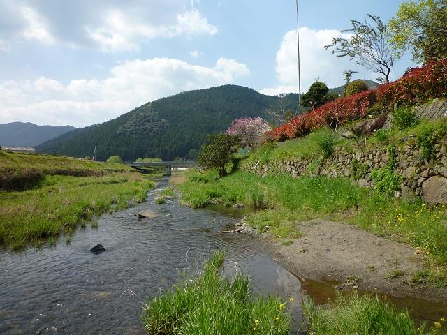 P1030041.jpg