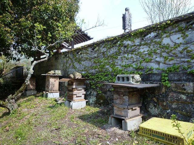 P1030043.jpg