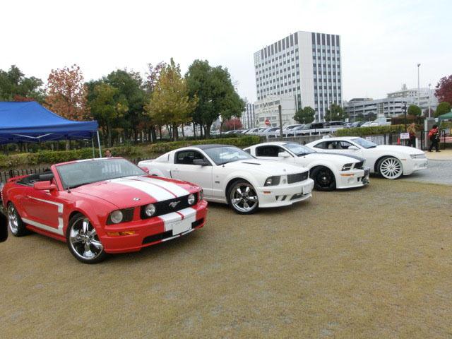 CIMG3287.jpg