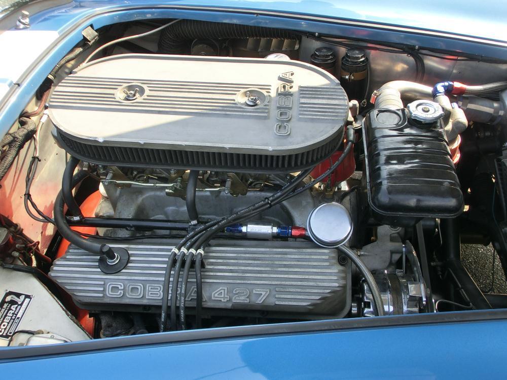 CIMG9558.JPG