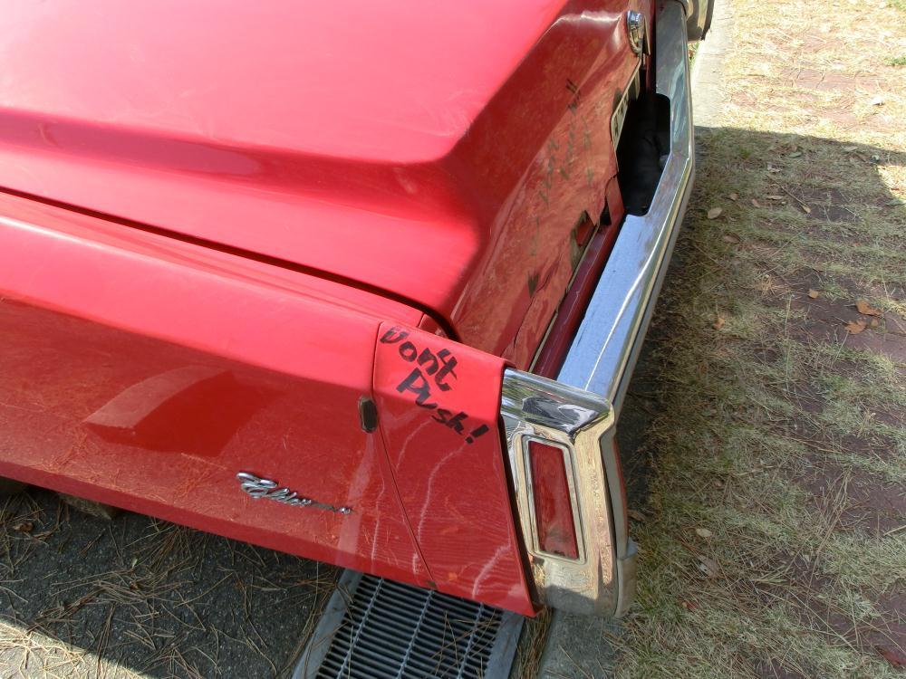 CIMG9710.JPG