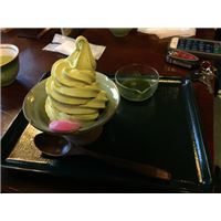 IMG_0382.jpg