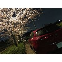 IMG_0626.jpg