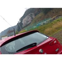 P1090201.jpg