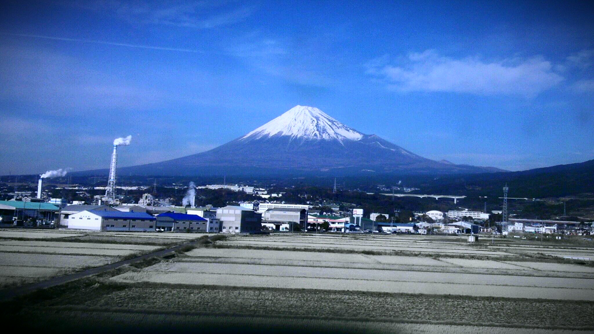 IMAG0465-1-1.jpg