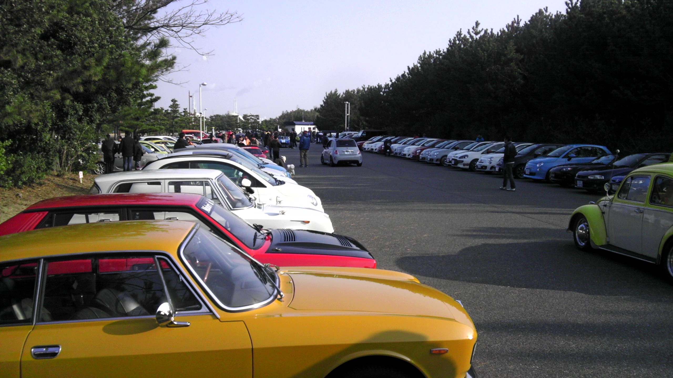IMAG0565-1.jpg