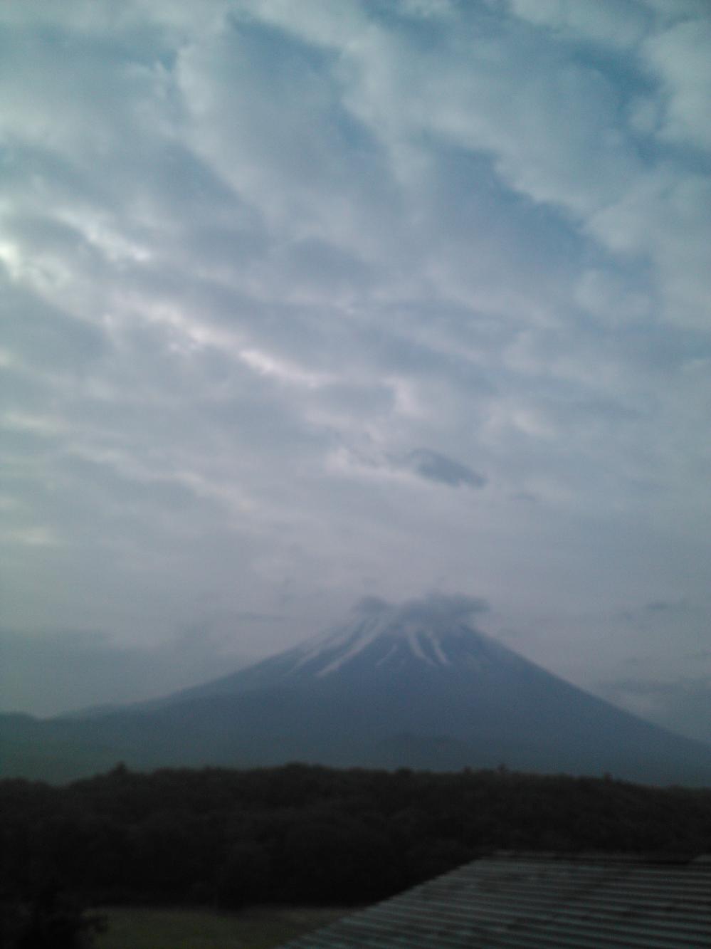IMG_20120603_054408_0.jpg