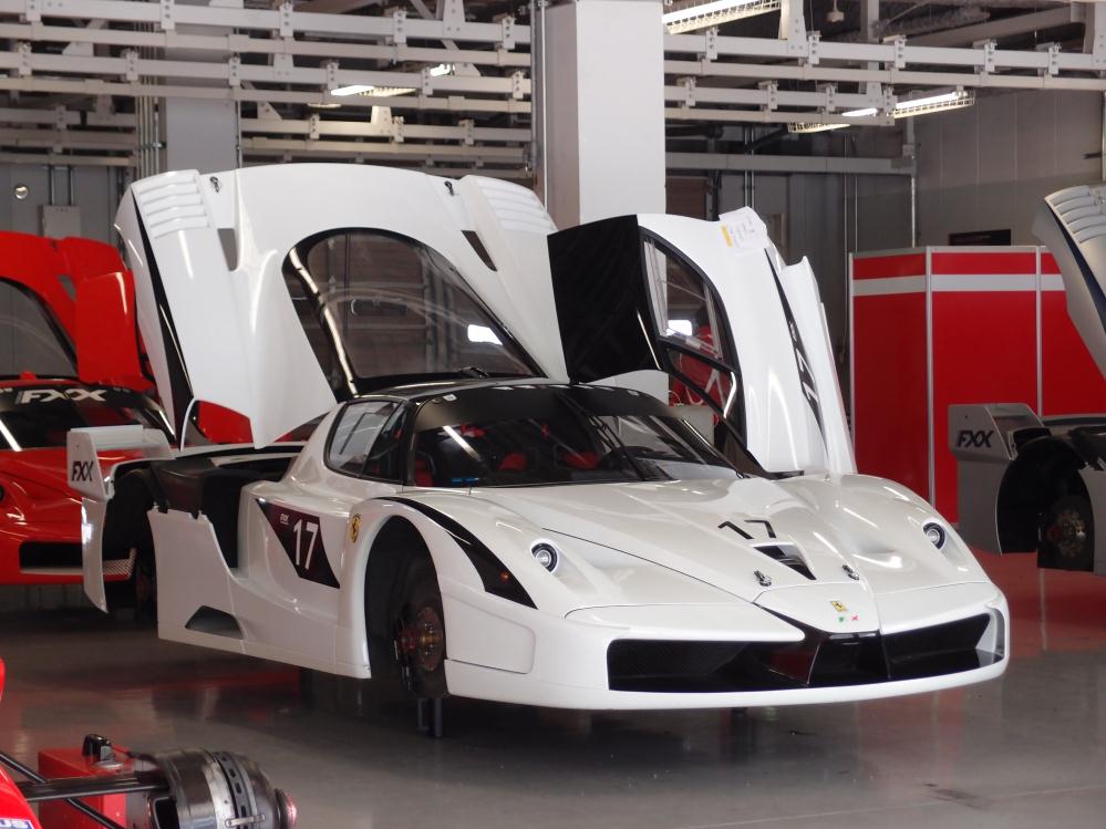 FXX①