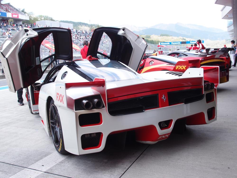FXX④