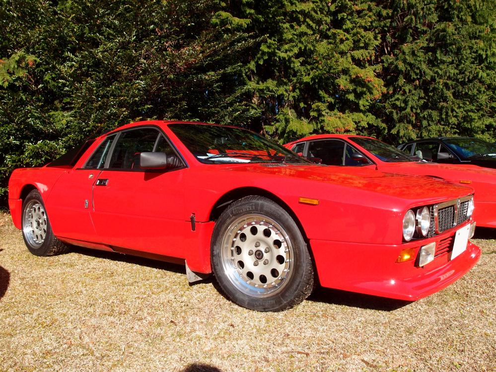 rari-1.jpg