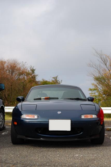 DSC_0301.jpg