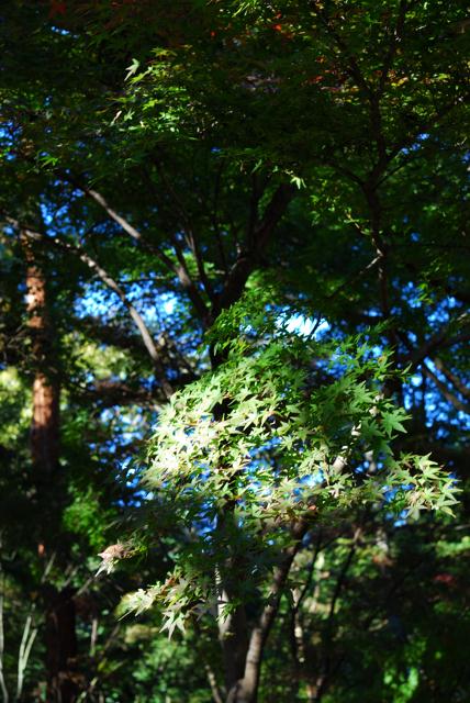 DSC_0006.jpg