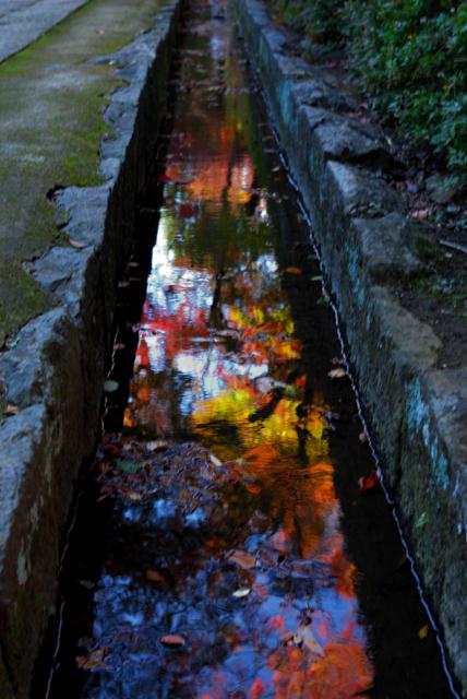 DSC_0022.jpg